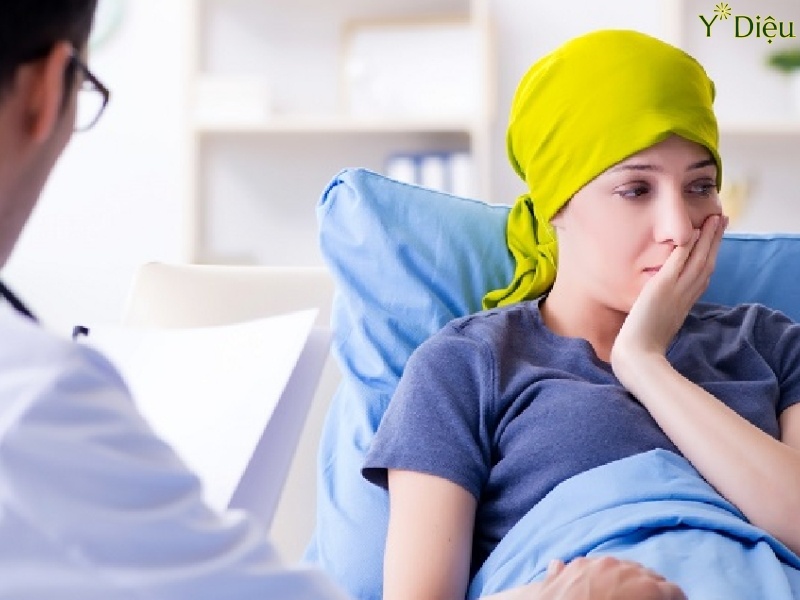 Tam thất có khả năng kích thích sản xuất tế bào miễn dịch